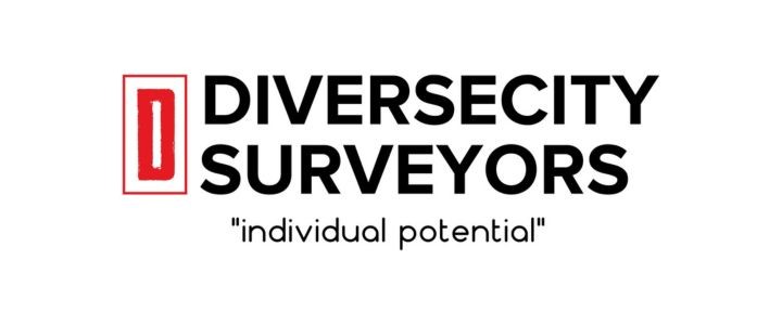 DiverseCity Surveyors